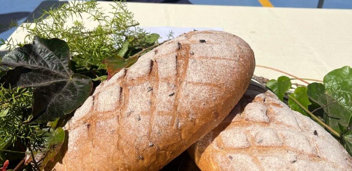 Este Jueves Santo, nuestra comunidad educativa del Pan American College se reunió en una emotiva liturgia para conmemorar el inicio del Triduo Pascual.